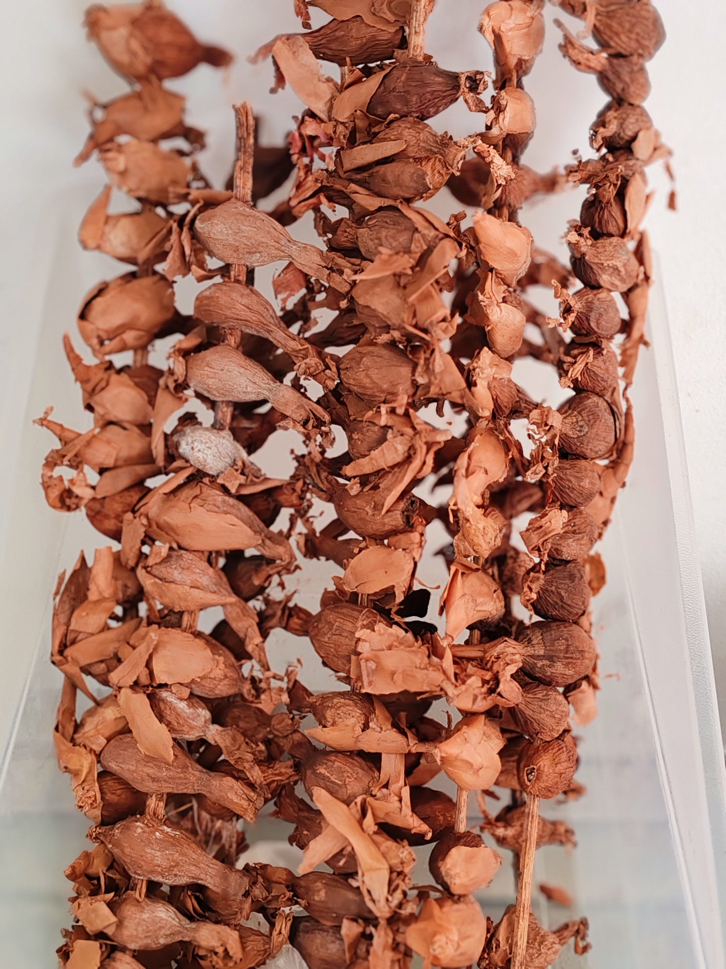 Mondongo "maniguette"