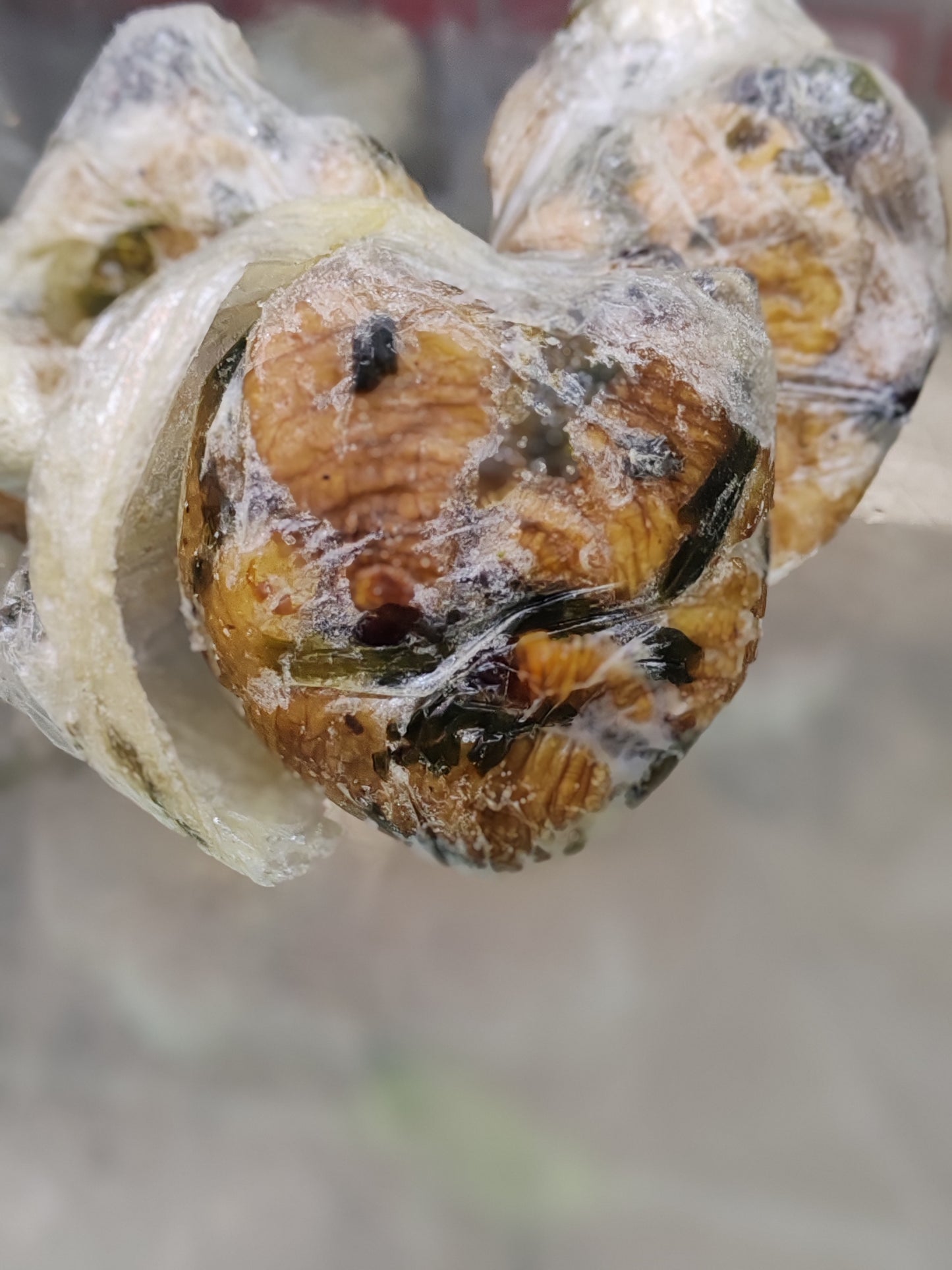 Mose 15 pièces-Vers de Palmier RDC