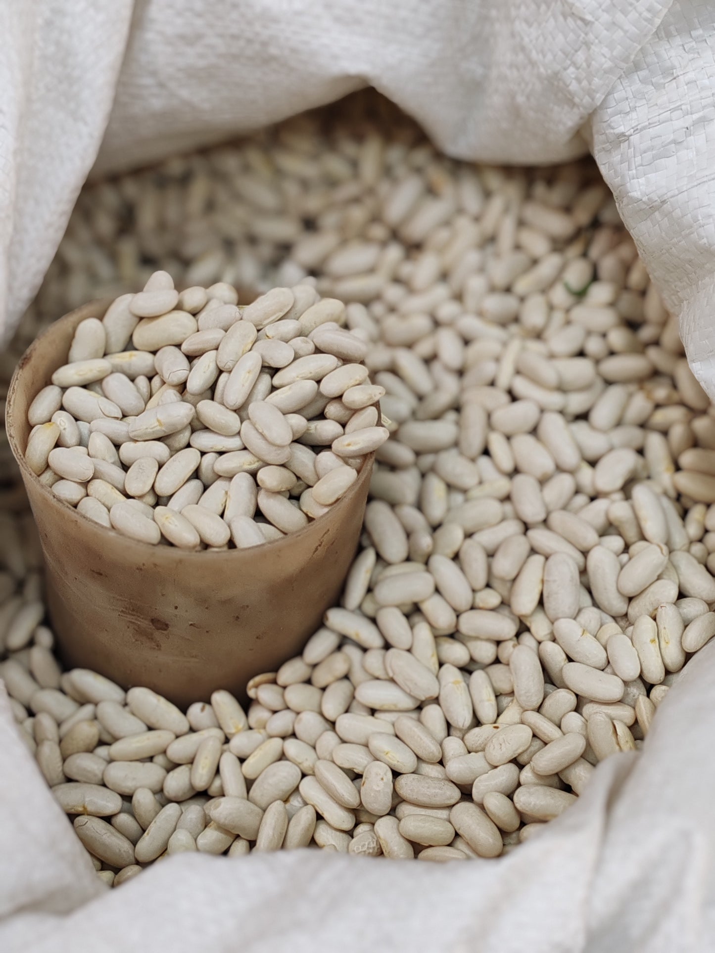 Haricots Kinpangu ya Congo RDC-400g