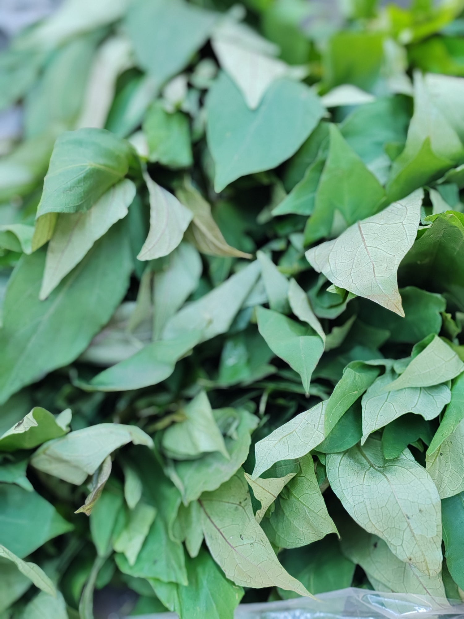 Légumes frais du congo RDC