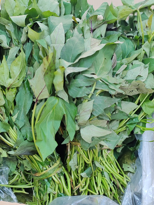 Matembele-Feuilles de patate douce