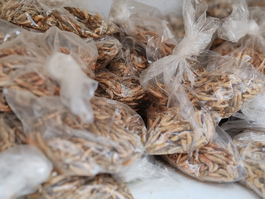 Crevettes séchées