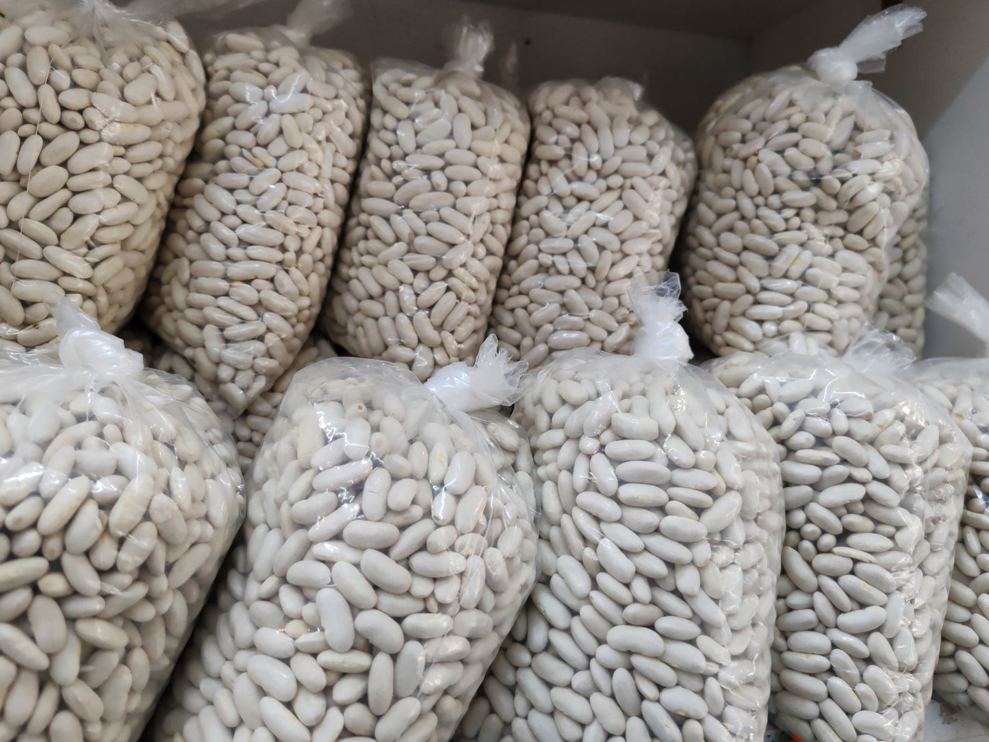 Haricots blancs 790g RDC