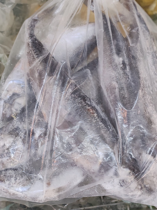 Poisson Thomson de Norvège (Chinchard)