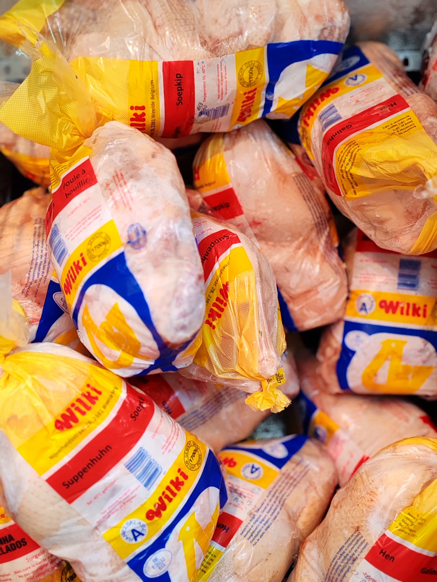Poule dure-WILKI