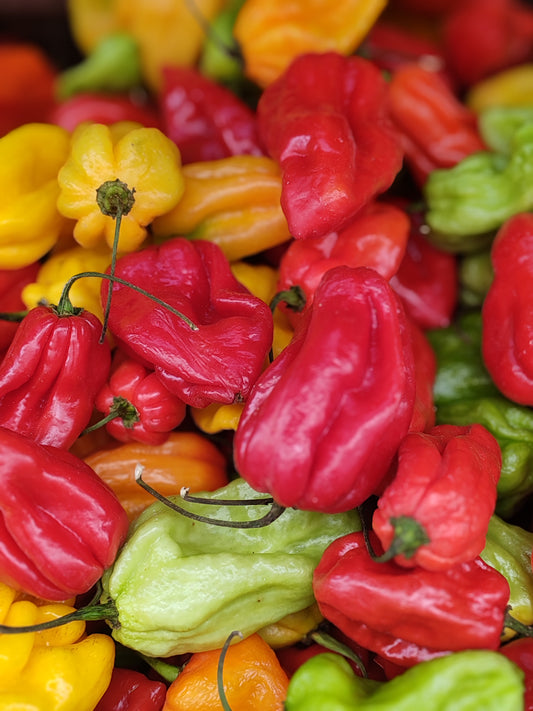 Piment antillais frais