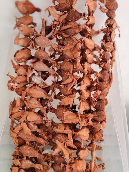 Mondongo "maniguette"