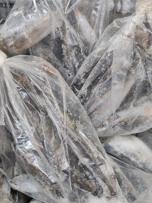 Sachet de Thomson-Espagne (chinchard)