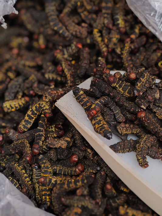Mbizo (chenilles séchées)