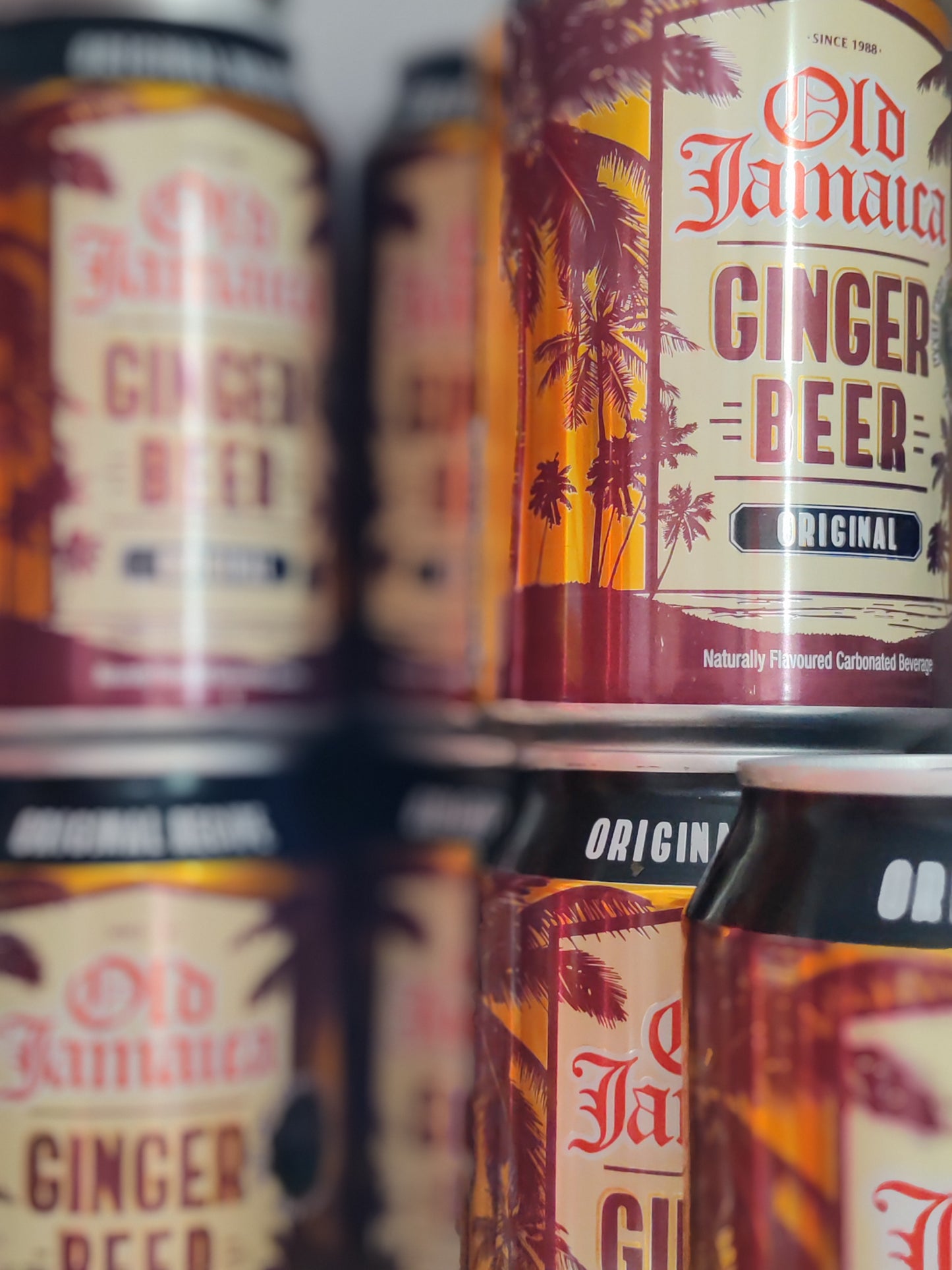 Ginger beer-33cl