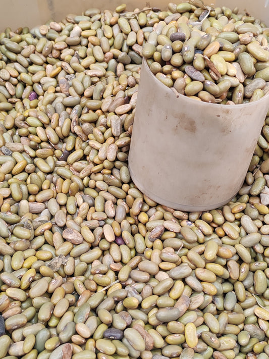 Madesu ya kaki-RDC 400g